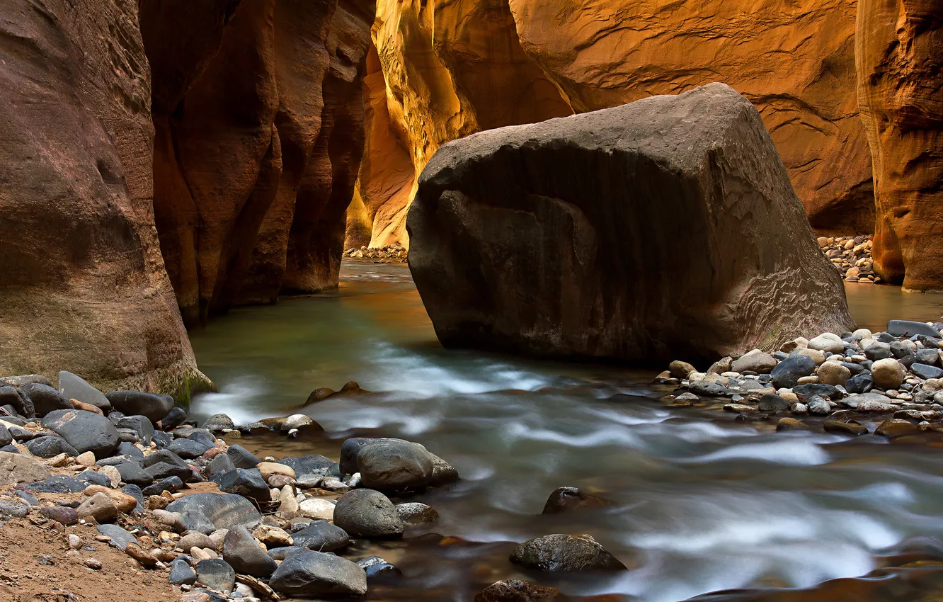 Photo wallpaper river, stones, rocks, canyon, gorge, Zion National Park, USA, Utah