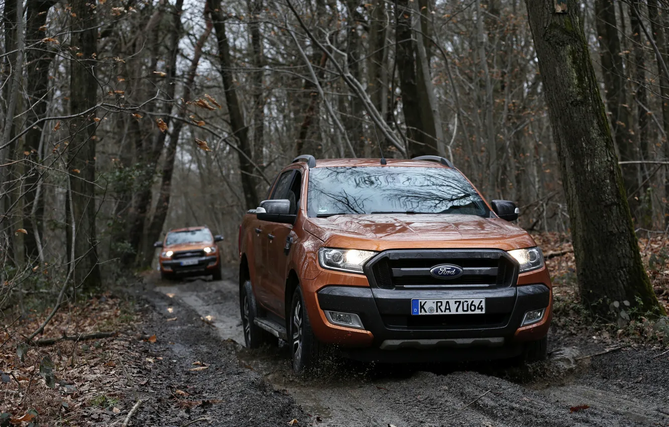 Photo wallpaper road, forest, trees, Ford, dirt, pickup, dampness, Ranger
