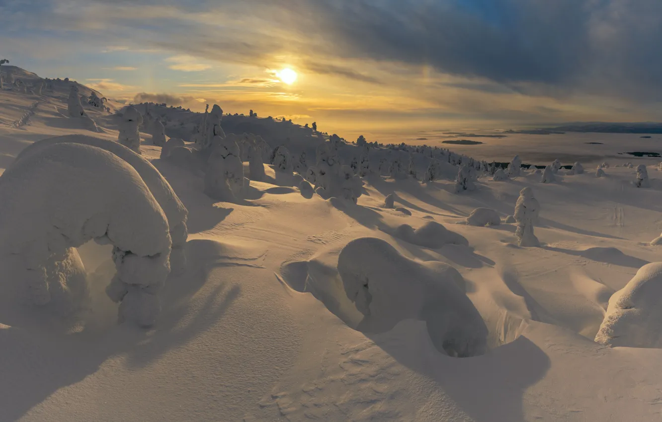 Photo wallpaper winter, the sun, snow, trees, landscape, nature, dawn, shadow