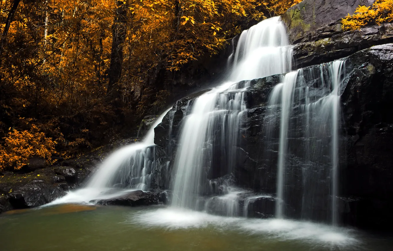 Photo wallpaper autumn, forest, leaves, trees, stones, waterfall, yellow