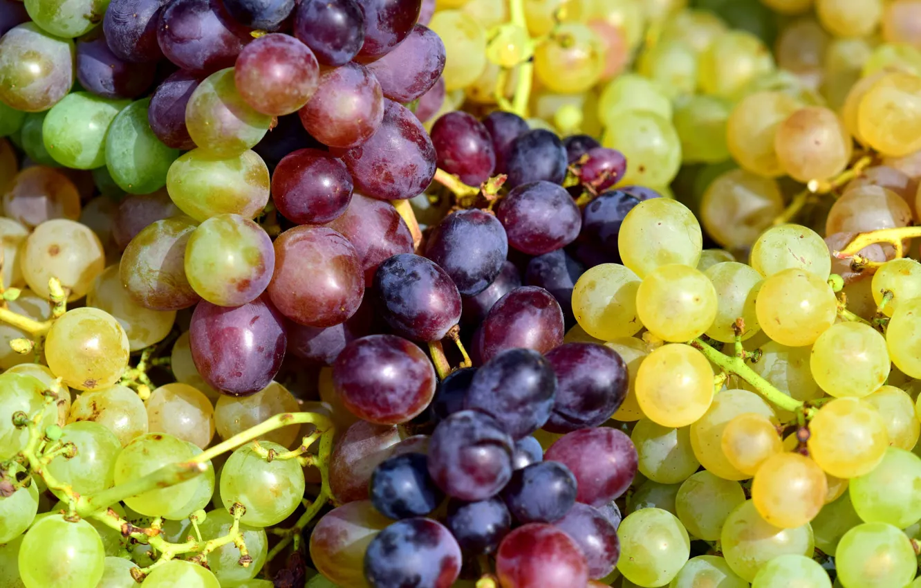 Photo wallpaper macro, yellow, red, green, grapes, different, a lot, bokeh