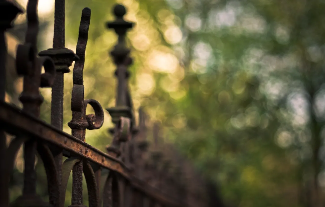 Photo wallpaper greens, summer, the fence, fence, Bloor, bokeh, cov in a