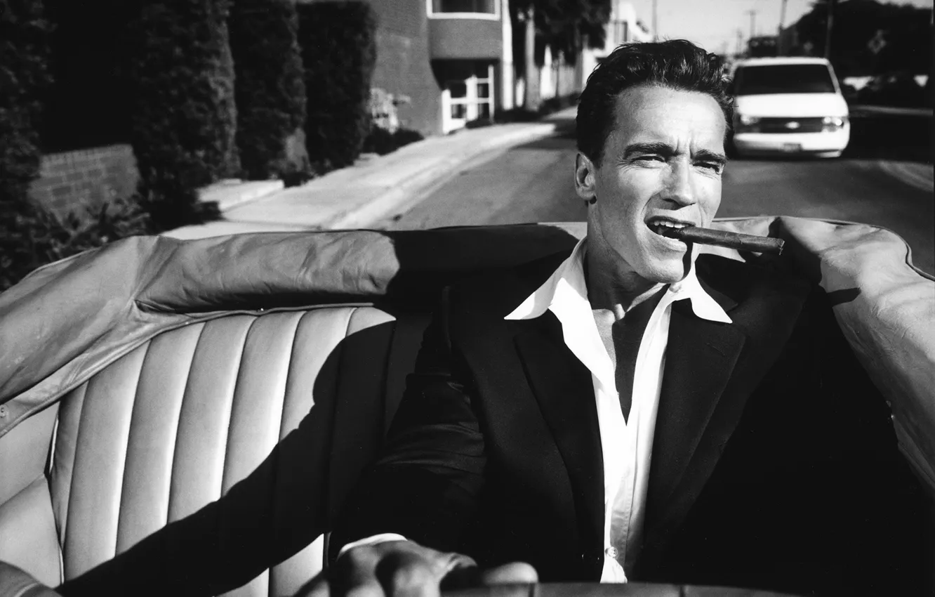 Photo wallpaper man, actor, Arnold Schwarzenegger, Arnold, iron, Arnold Schwarzenegger