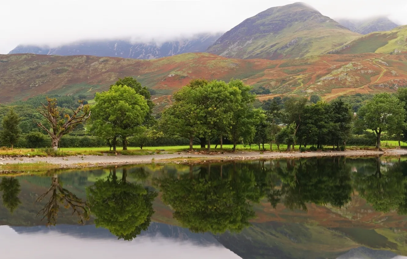 Photo wallpaper trees, mountains, lake, surface, reflection