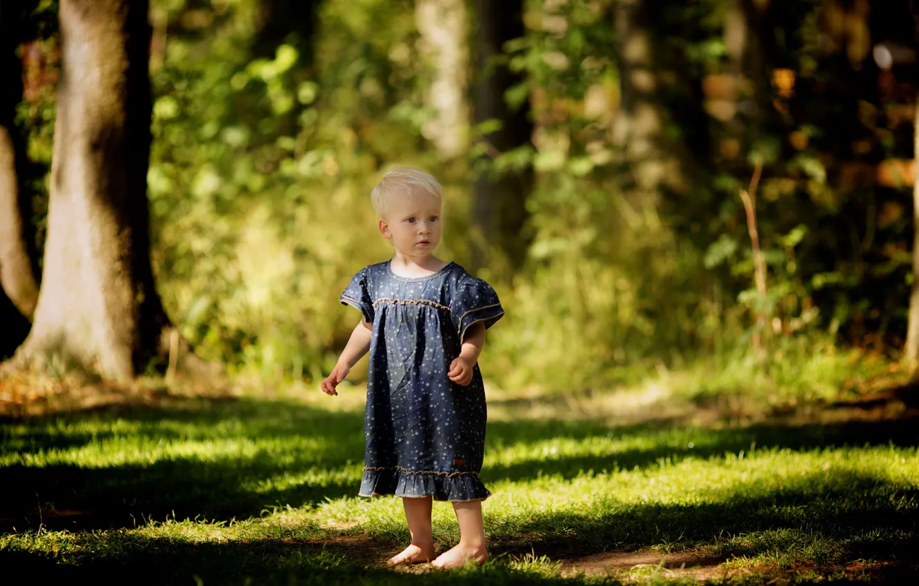 Photo wallpaper forest, summer, mood, girl