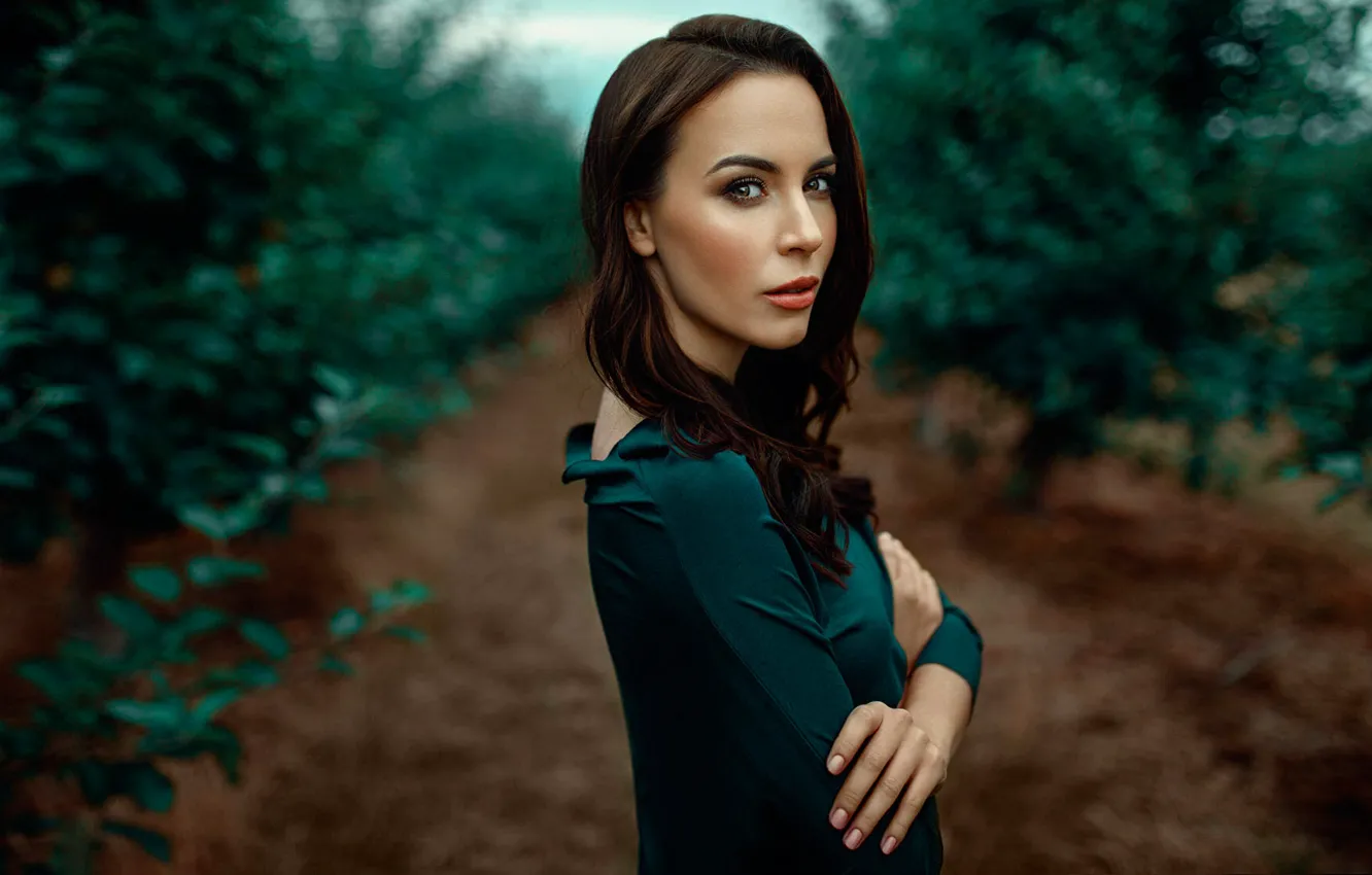 Photo wallpaper sponge, curls, bokeh, Damian Feather