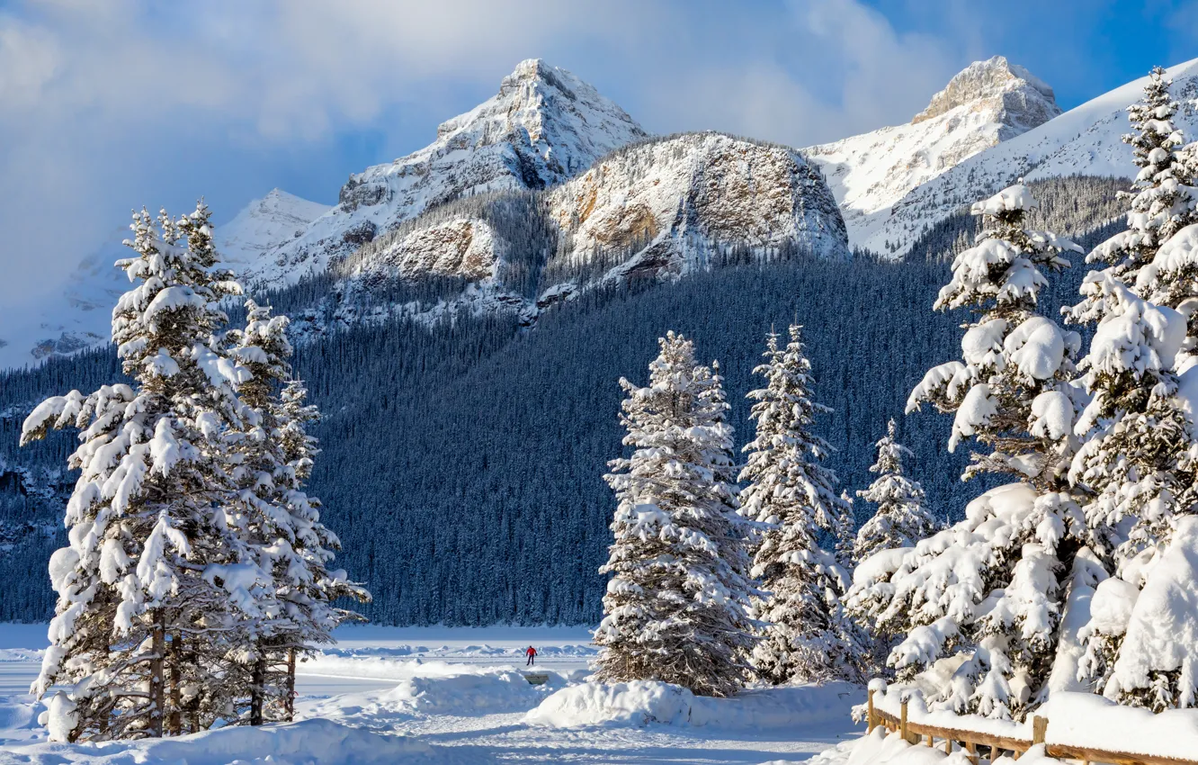 Photo wallpaper winter, forest, the sun, clouds, snow, trees, mountains, rocks