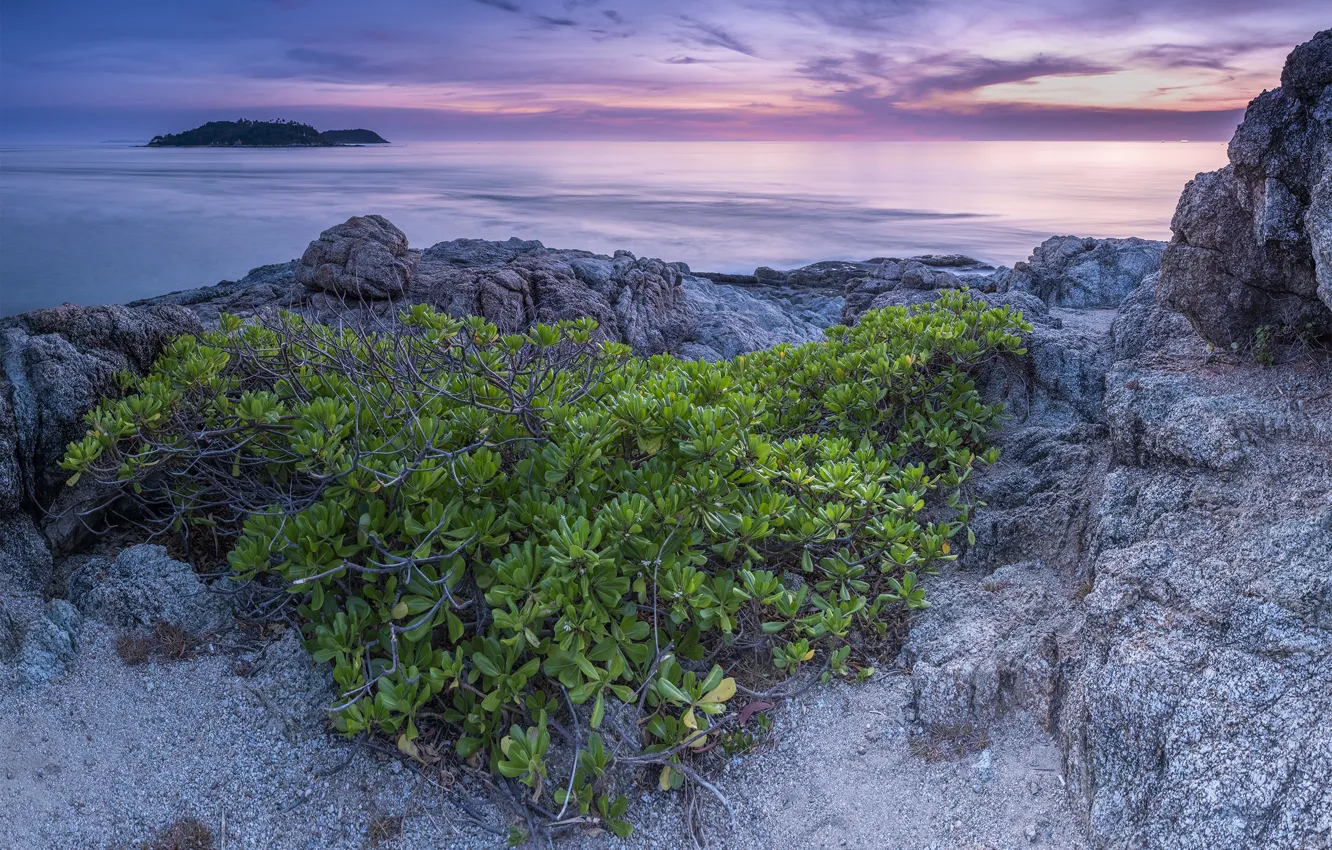 Photo wallpaper sea, landscape, nature, stones, rocks, dawn, vegetation, morning