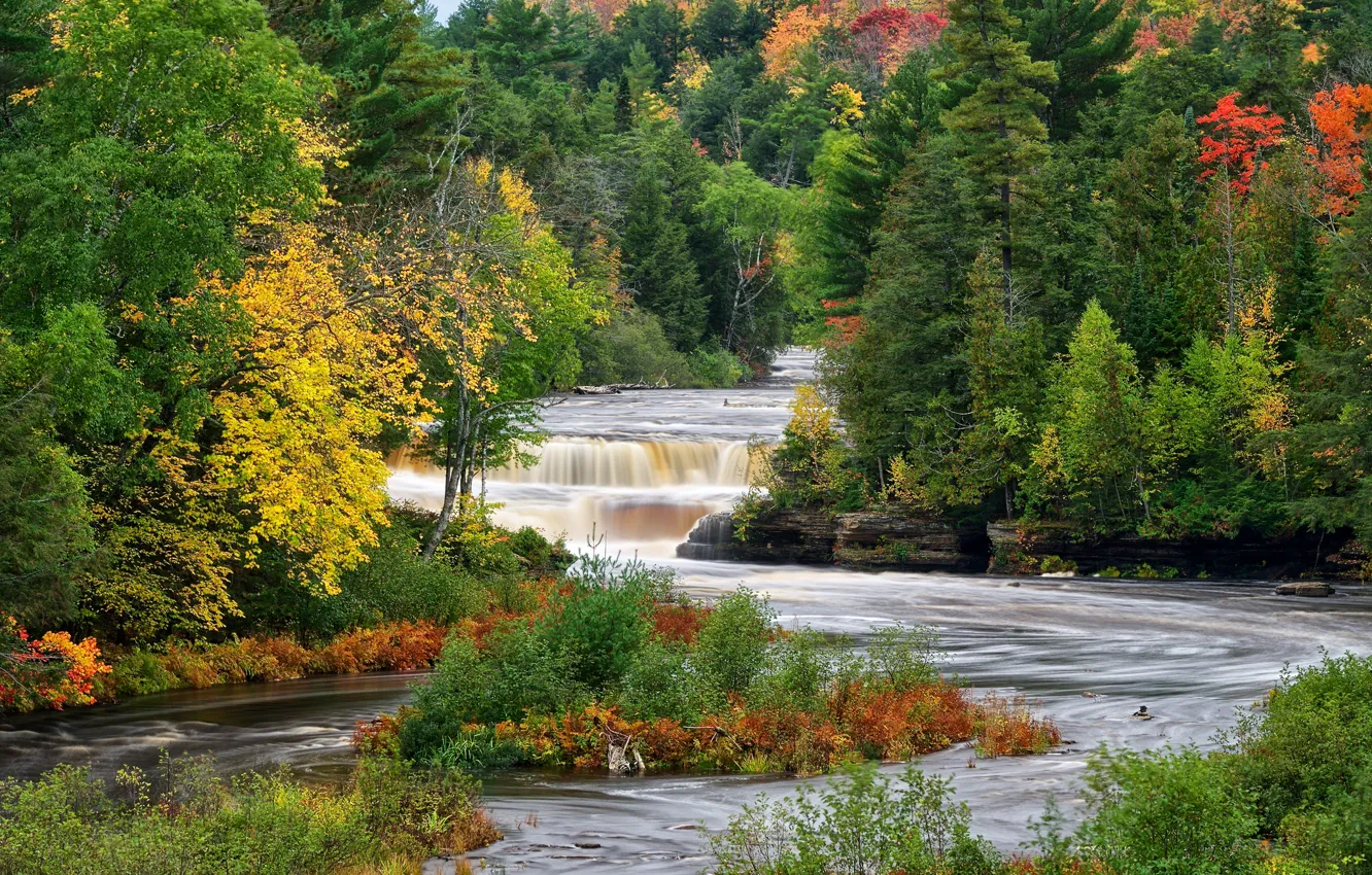 Photo wallpaper autumn, forest, trees, river, thresholds