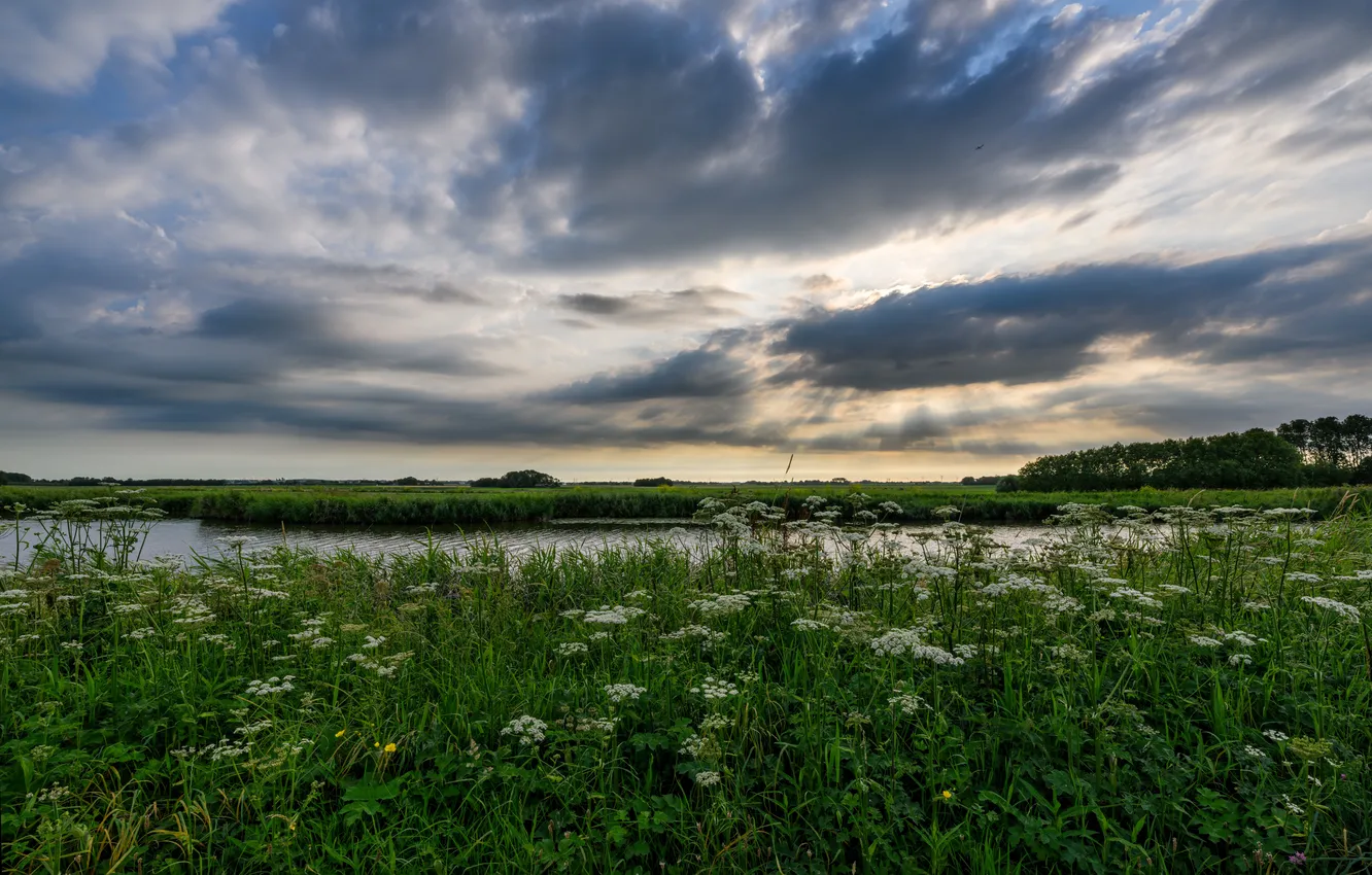 Photo wallpaper summer, clouds, river, meadow
