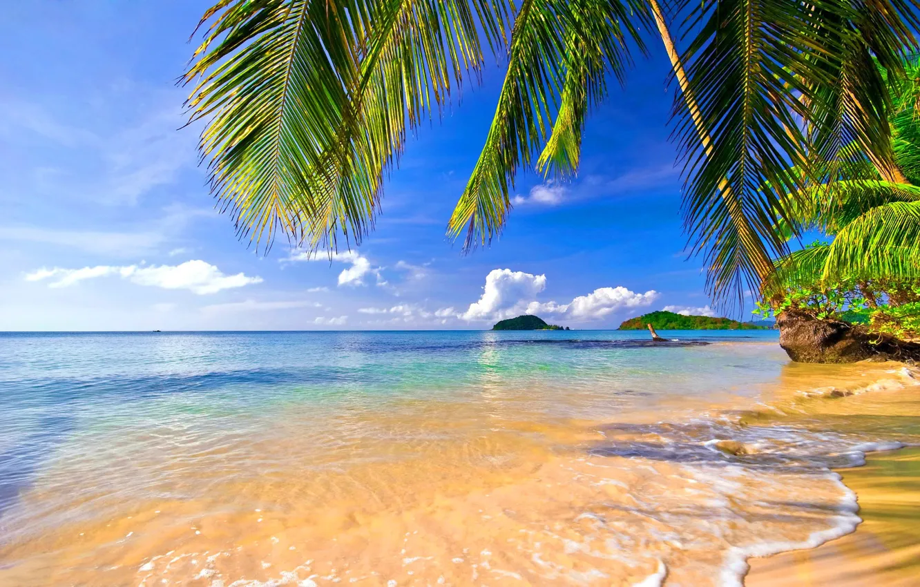 Photo wallpaper sand, sea, beach, the sky, clouds, palm trees