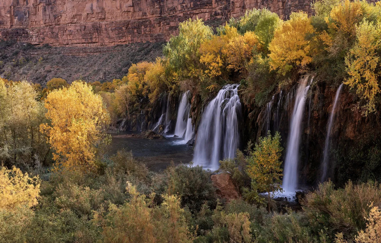 Photo wallpaper autumn, forest, trees, rocks, waterfall, stream, pond, shrub