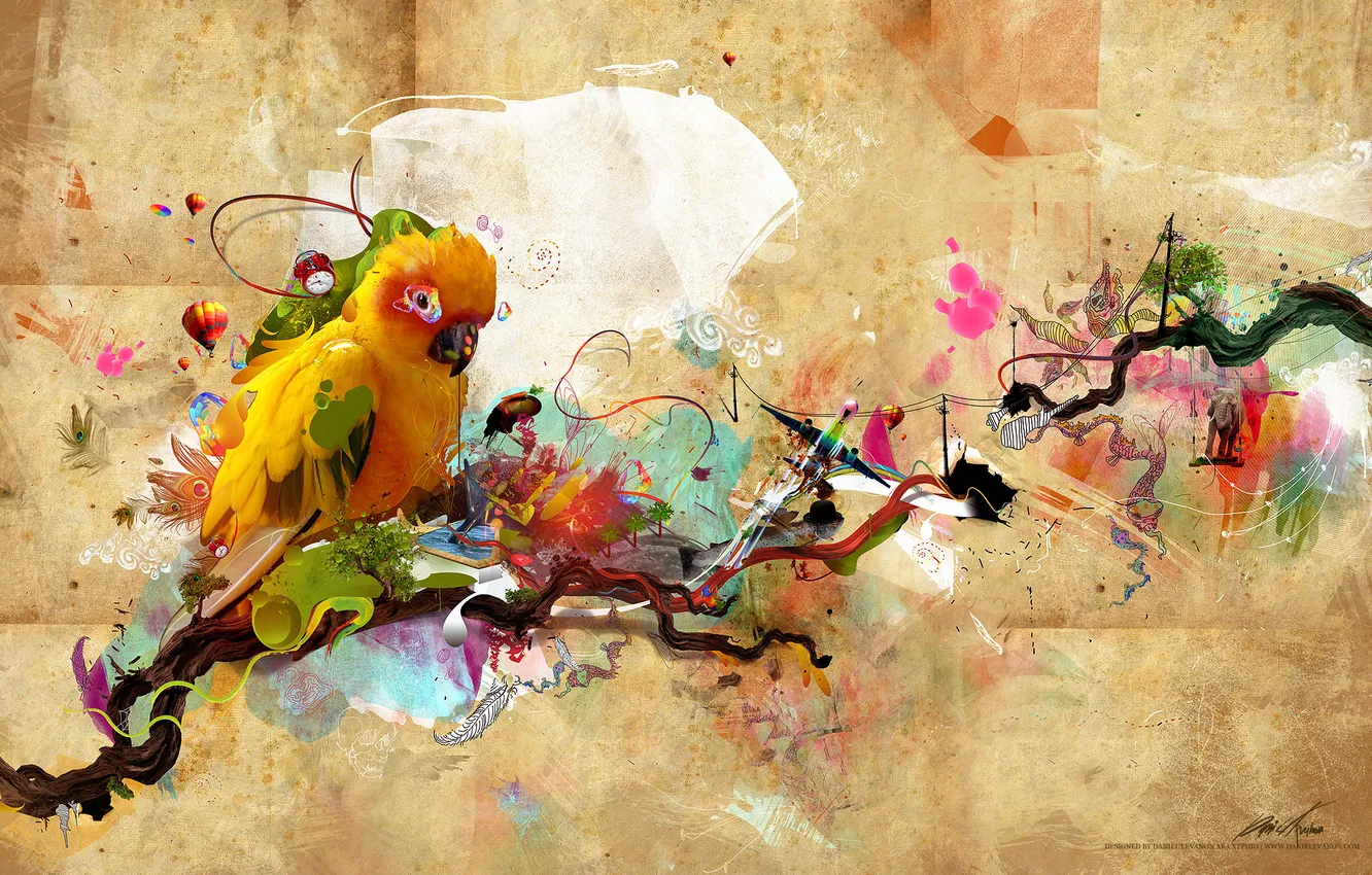 Photo wallpaper collage, Avant-Garde, xyphid