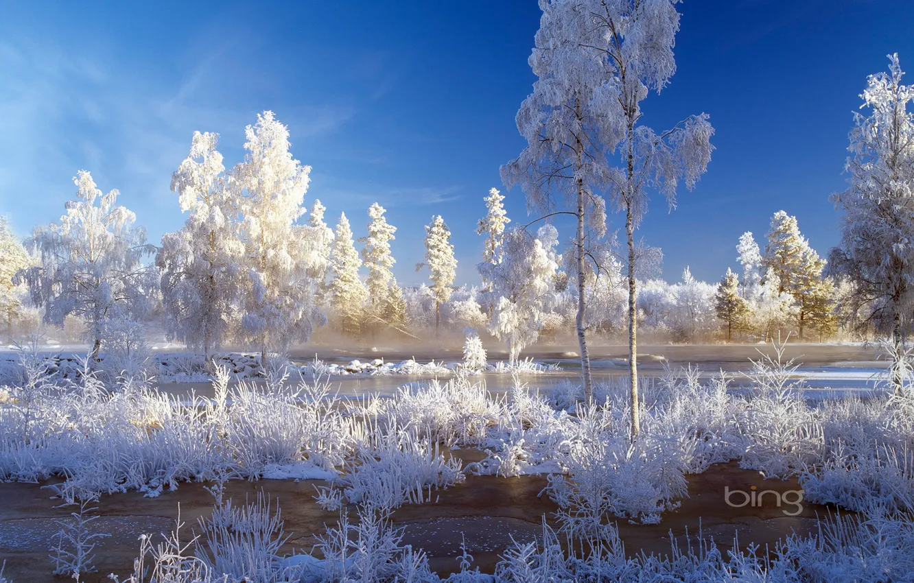 Photo wallpaper winter, frost, the sky, water, snow, trees, landscape