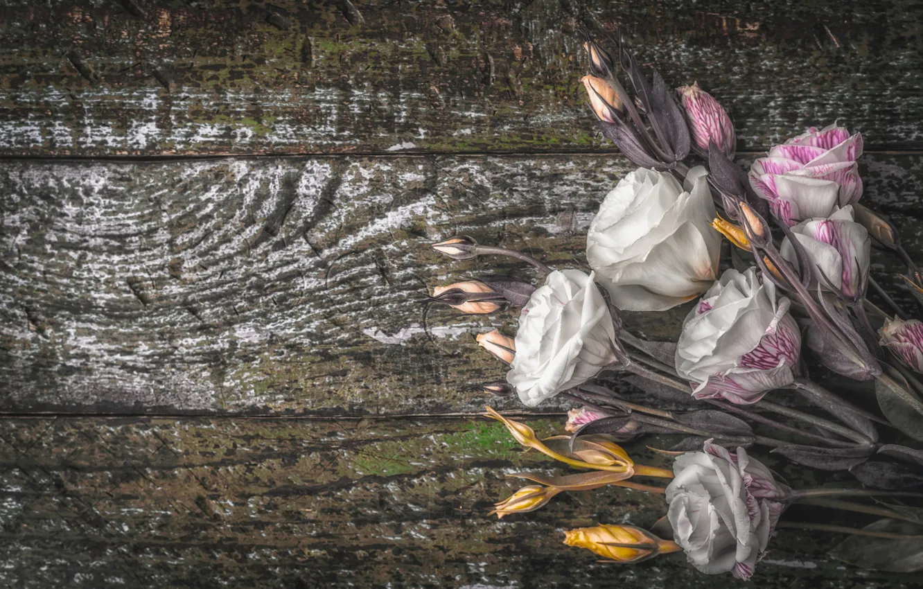 Photo wallpaper flowers, bouquet, buds, wood, eustoma