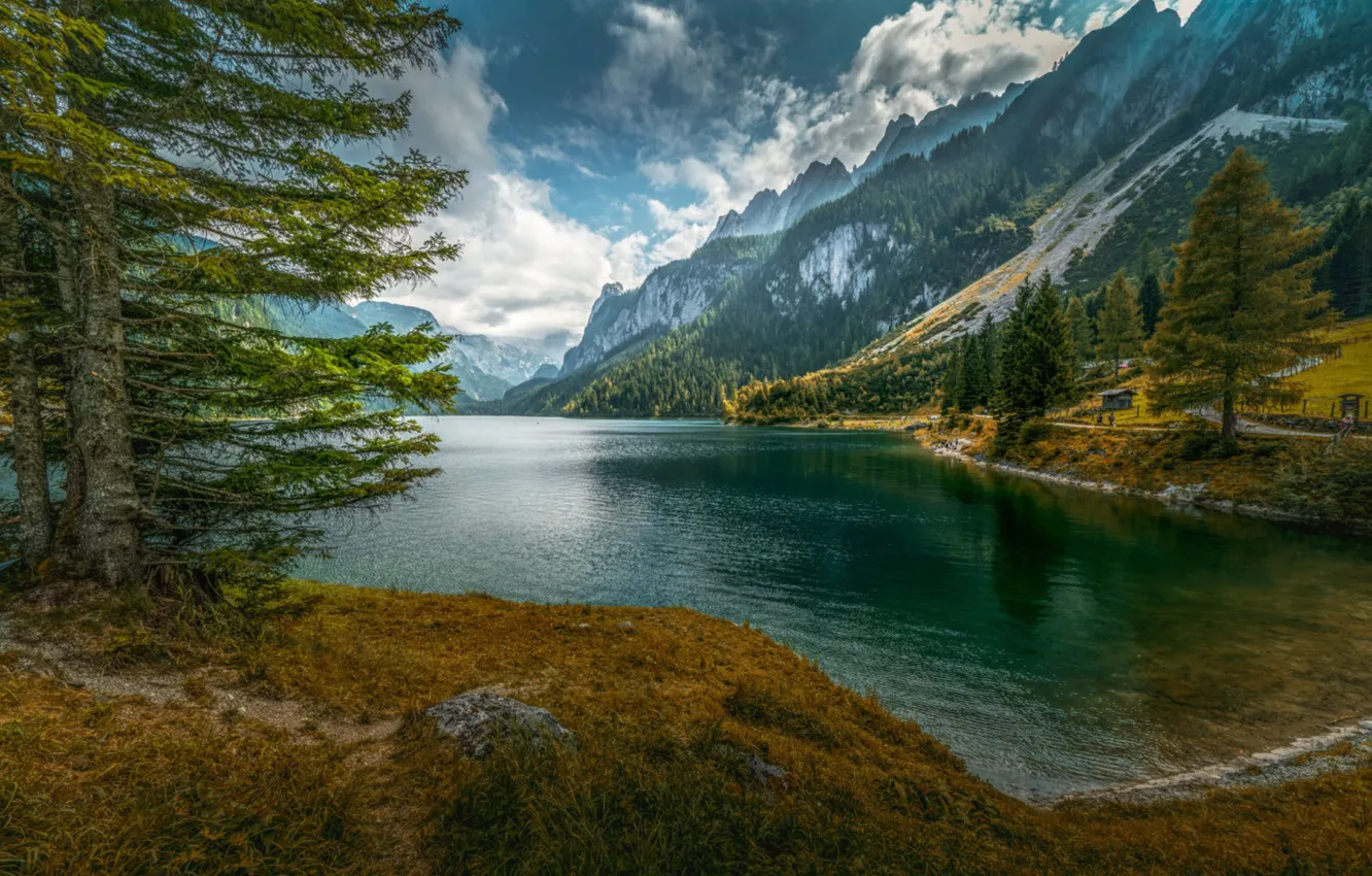 Photo wallpaper water, mountains, lake, spruce