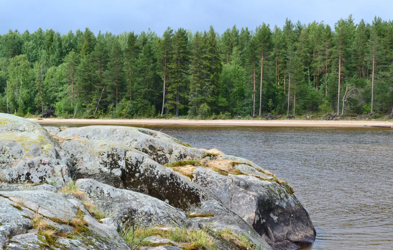 Photo wallpaper forest, stones, shore, Karelia