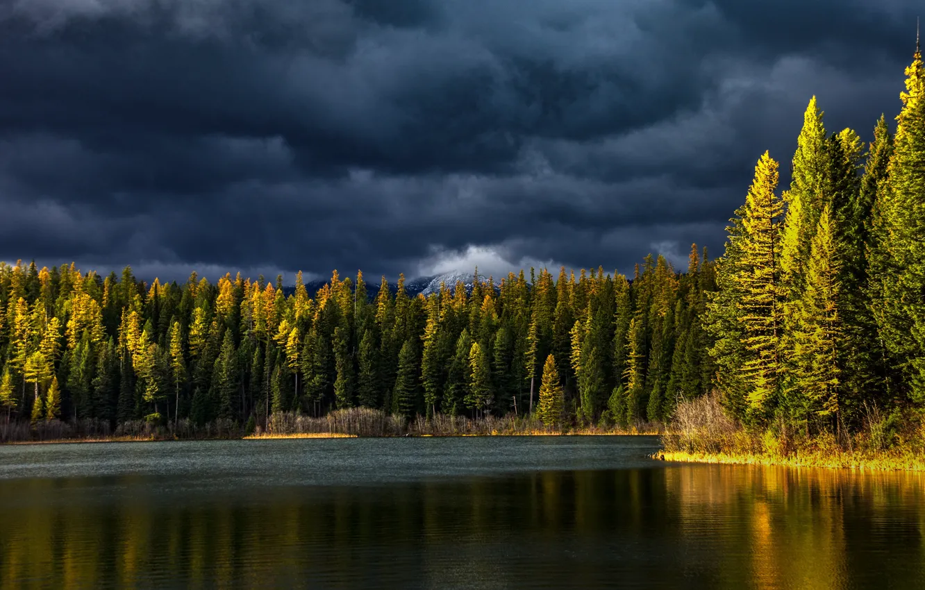 Photo wallpaper autumn, forest, the sky, light, clouds, shore, ate, pond