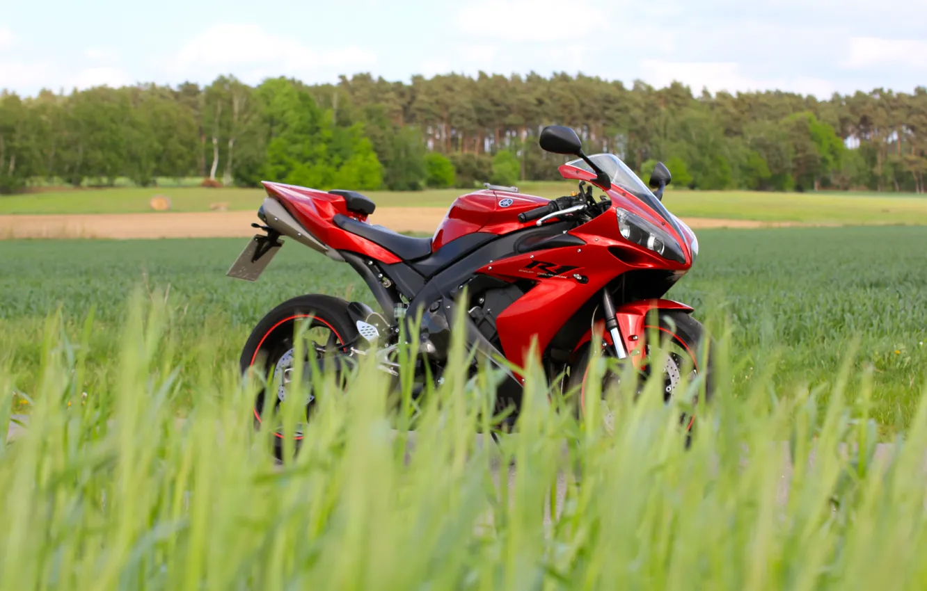Photo wallpaper Red, YZF-R1, Field, Trees