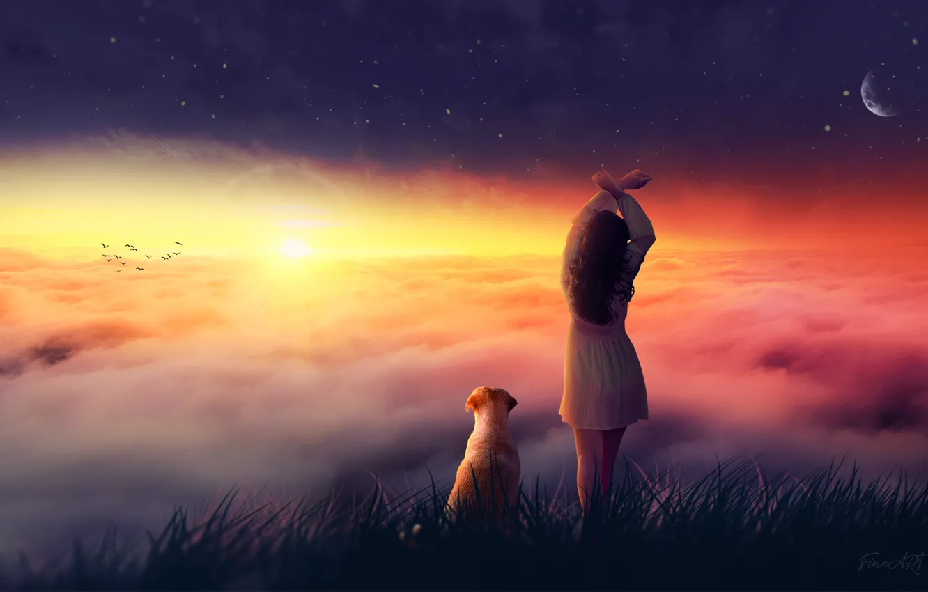 Photo wallpaper girl, sky, sunset, dog, clouds, birds, mood, friends