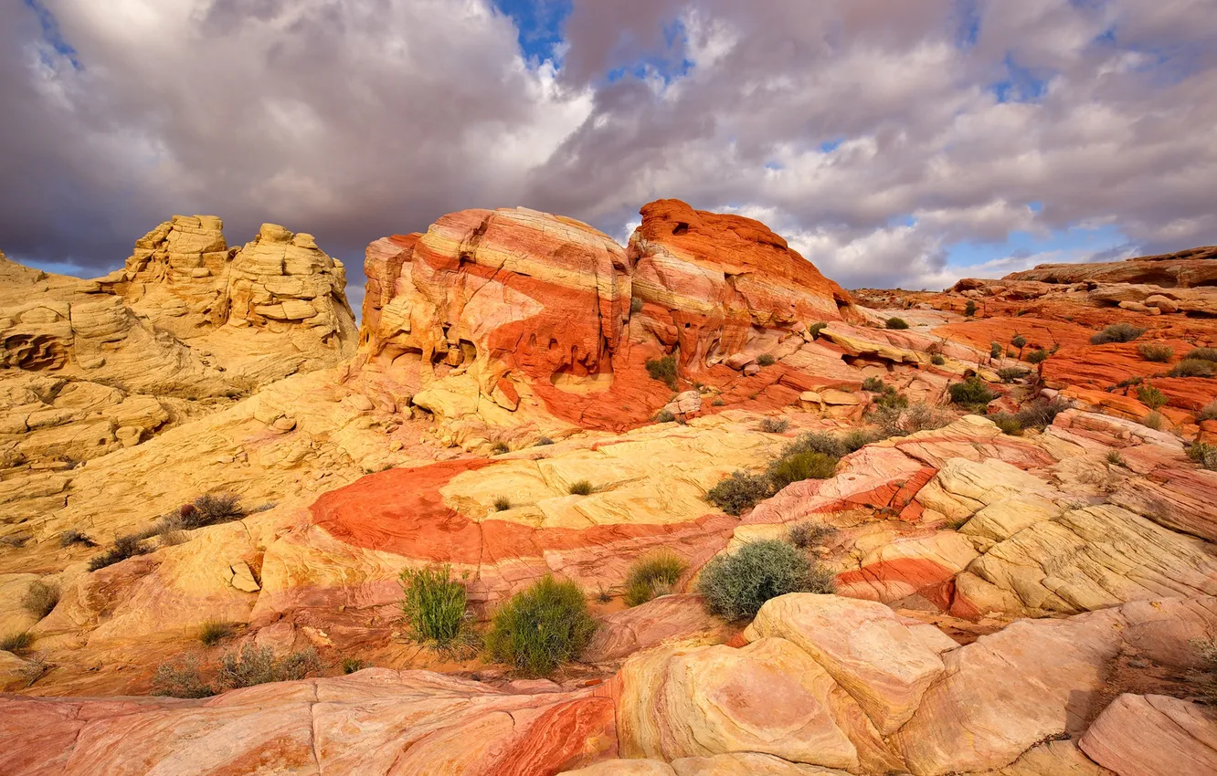 Photo wallpaper landscape, mountains, stones, rocks, paint, USA, Nevada, Clark County