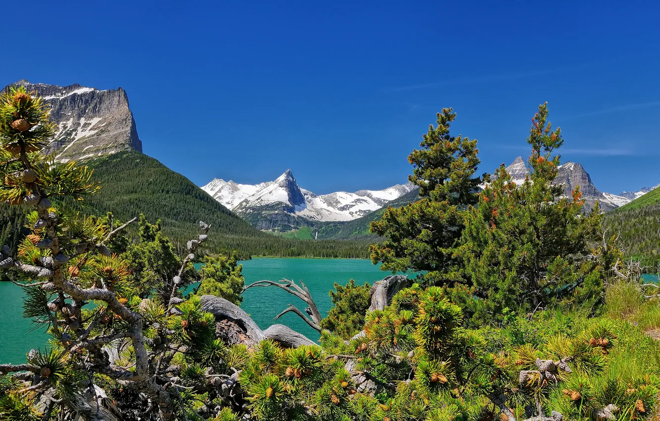 Photo wallpaper mountains, Montana, pine, Glacier National Park, Saint Mary Lake, Montana, Saint Mary Lake, natioanlly Park …