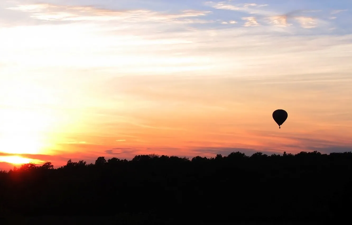 Photo wallpaper trees, balloon, silhouette, dawn