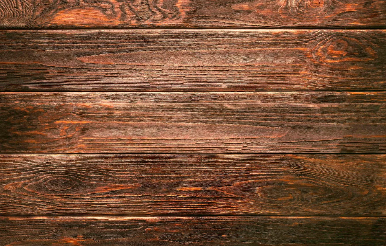 Photo wallpaper trees, Board, texture