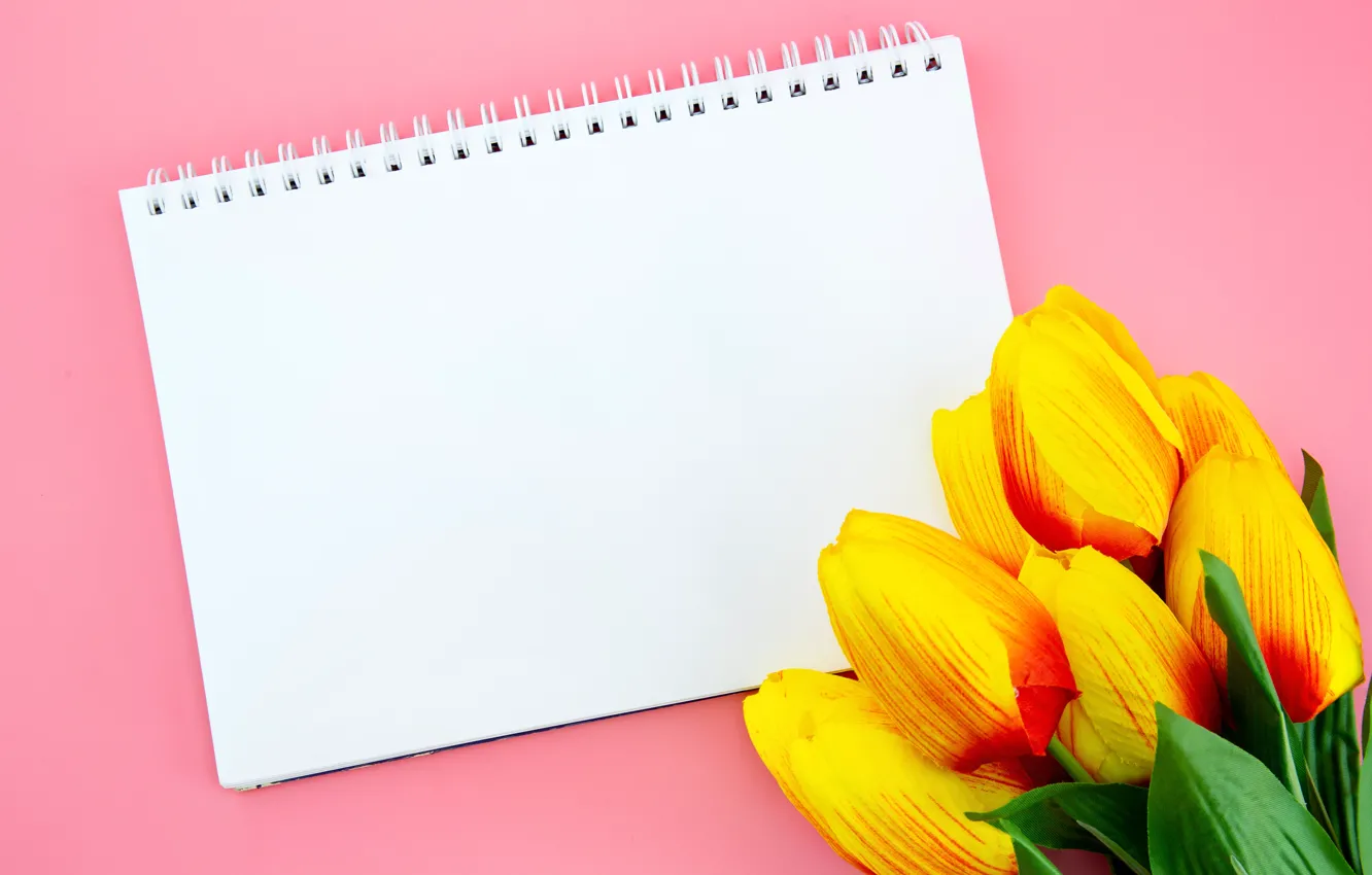 Photo wallpaper flowers, background, bouquet, tulips, Notepad