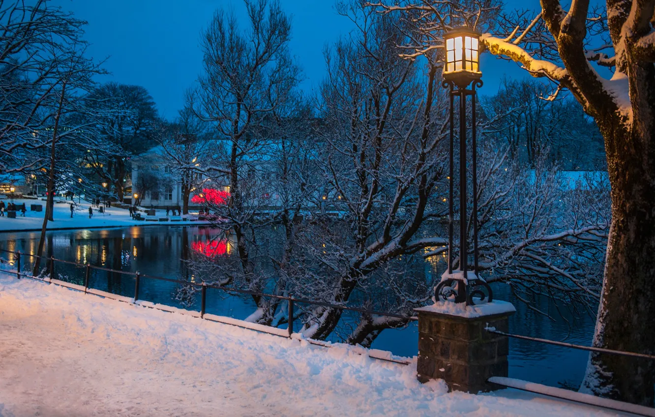 Photo wallpaper winter, snow, trees, lights, pond, the evening, Norway, lights