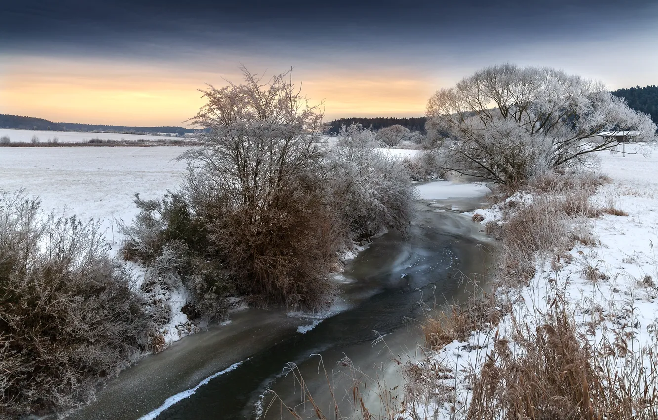 Photo wallpaper winter, trees, river