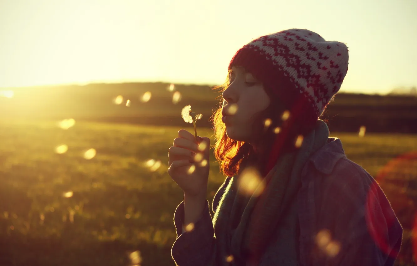 Photo wallpaper girl, sunset, mood, dandelion