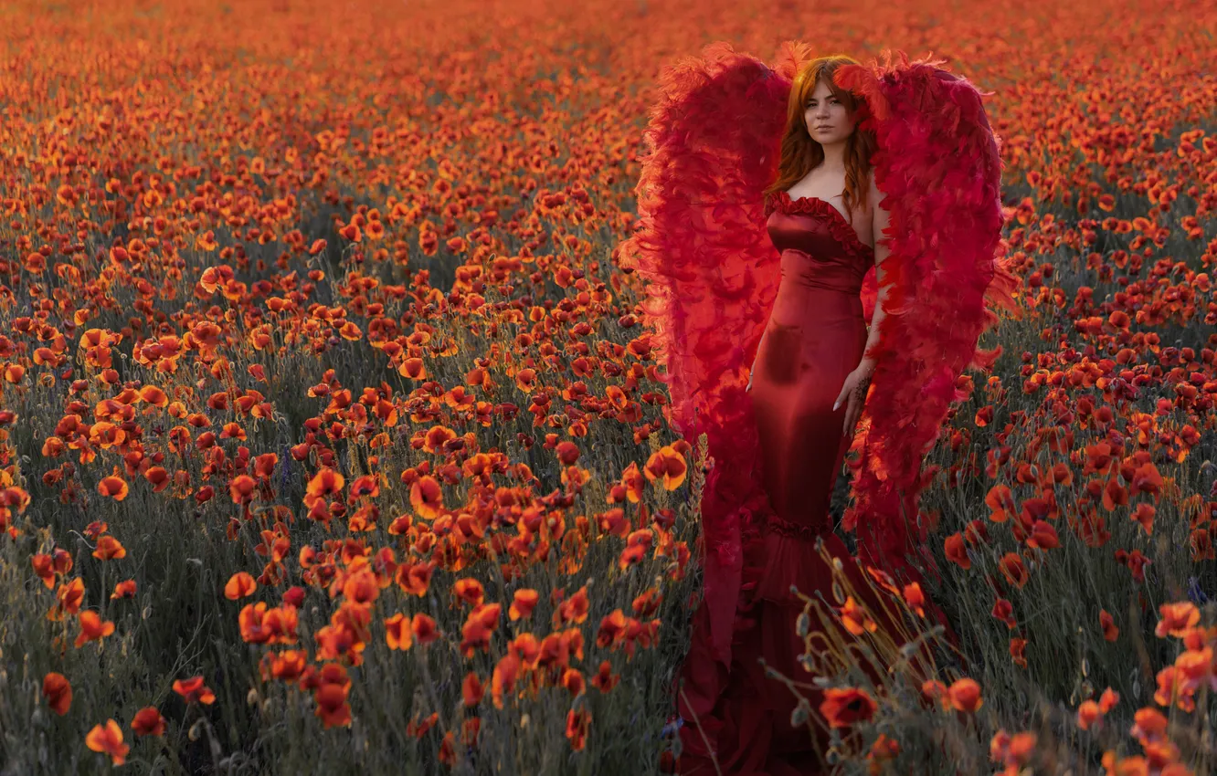 Photo wallpaper field, summer, girl, light, style, Maki, wings, angel
