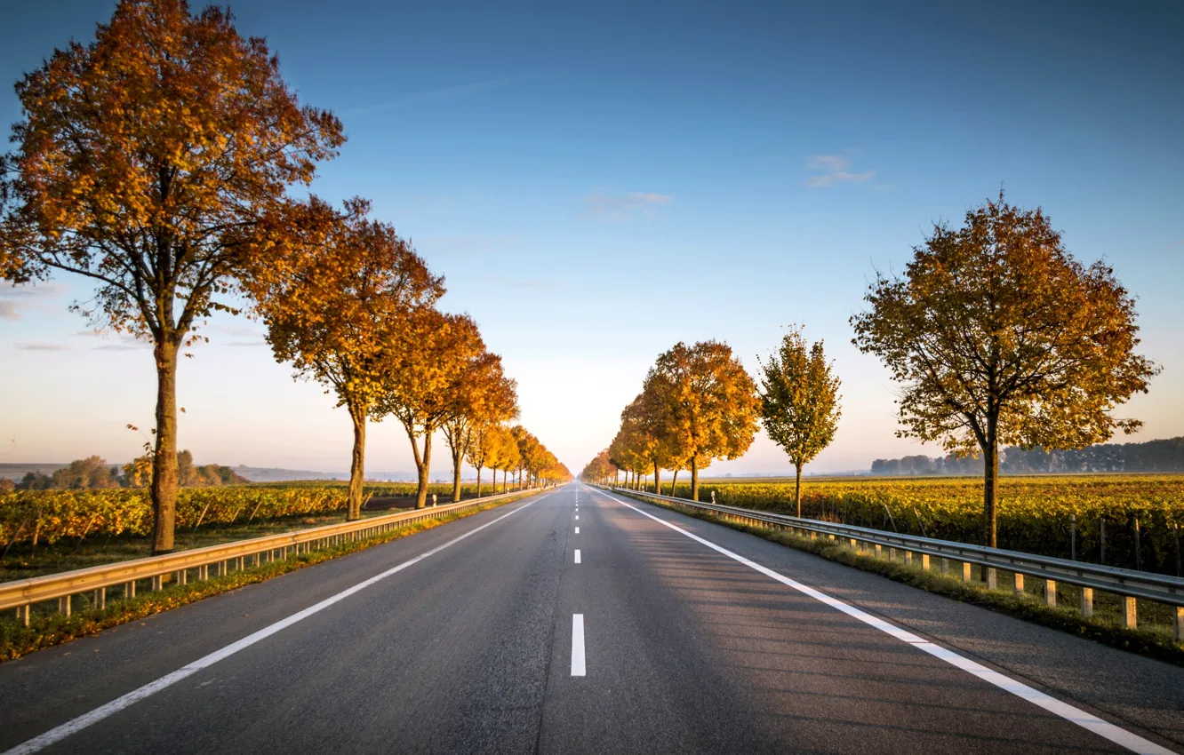 Photo wallpaper road, trees, the way, Wallpaper, track, photos, wallpaper, road