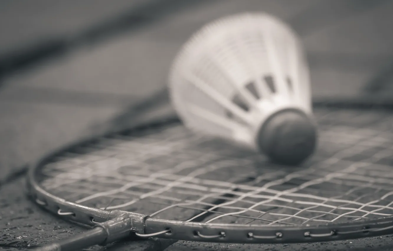 Photo wallpaper Monochrome, sports, badminton