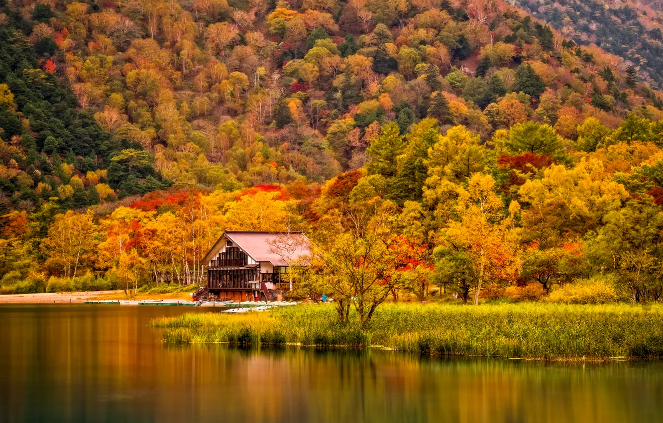 Photo wallpaper autumn, grass, trees, mountains, house, river, shore