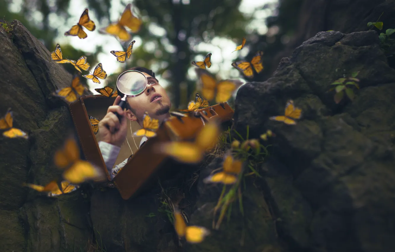Photo wallpaper background, butterfly, guy
