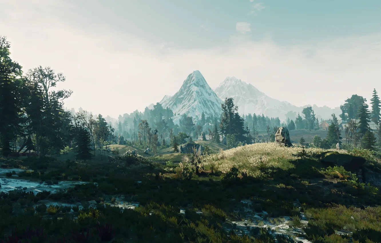 Photo wallpaper landscape, nature, the game, The Witcher 3