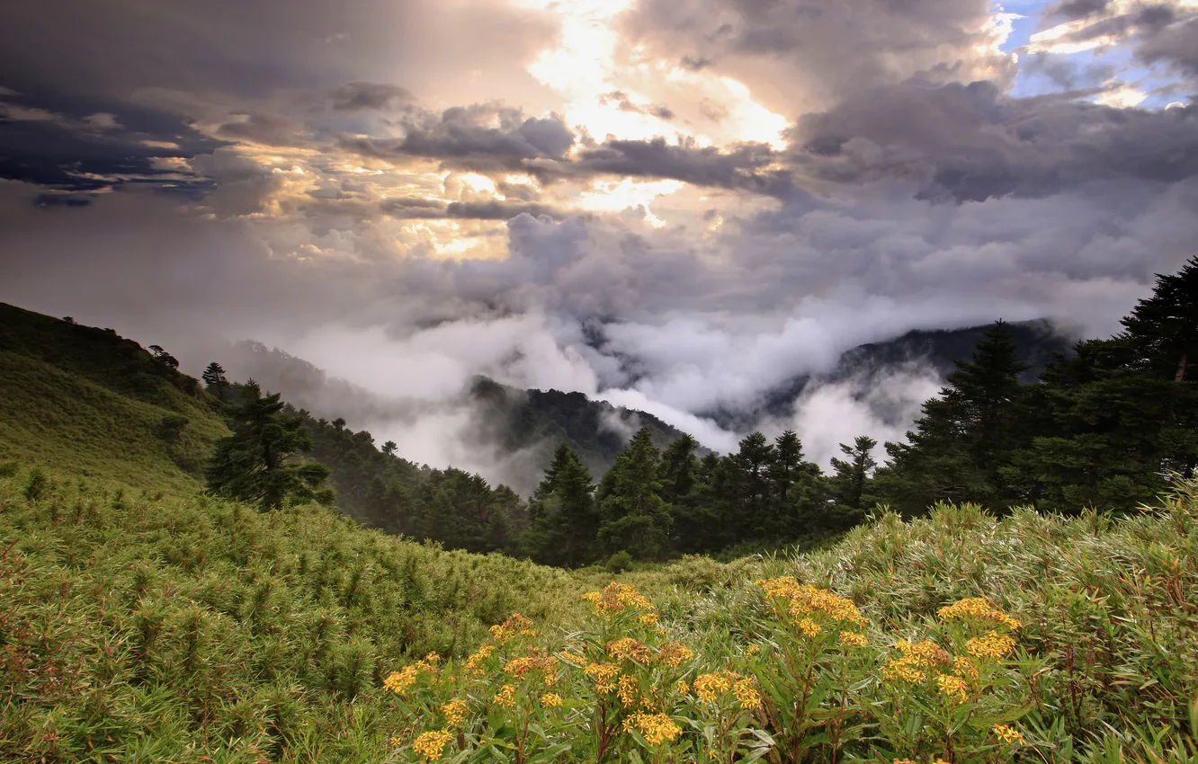 Photo wallpaper grass, clouds, hills, height