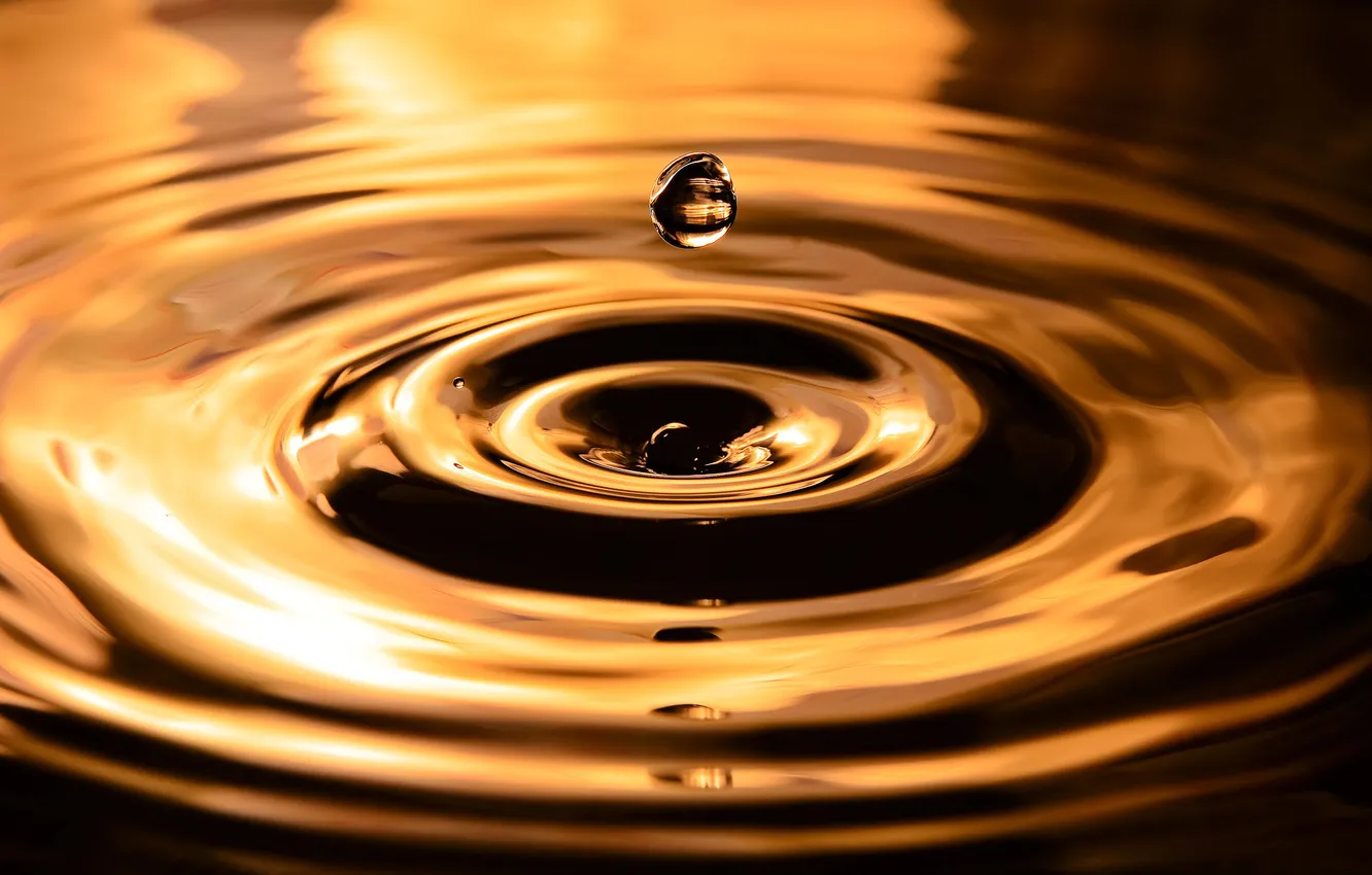 Photo wallpaper water, drops, macro