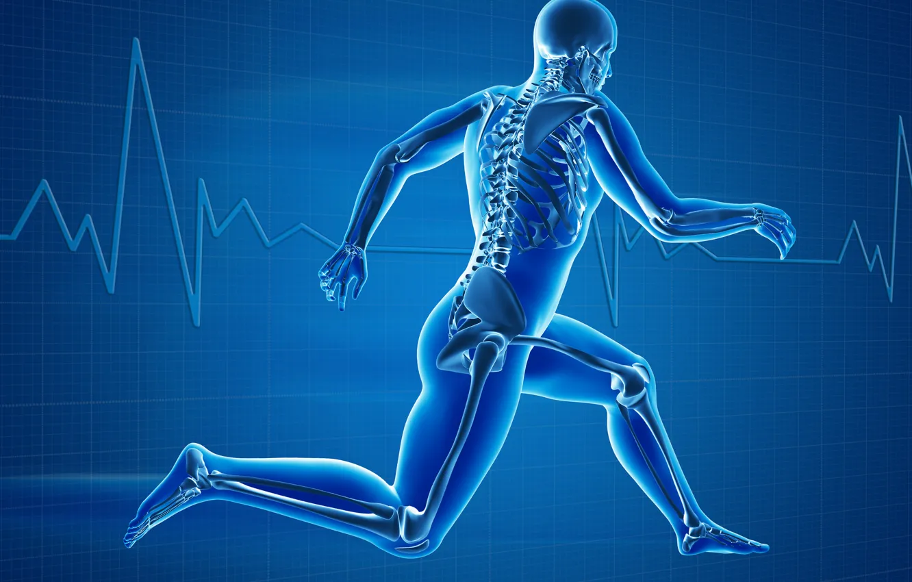 Photo wallpaper body, human, bones