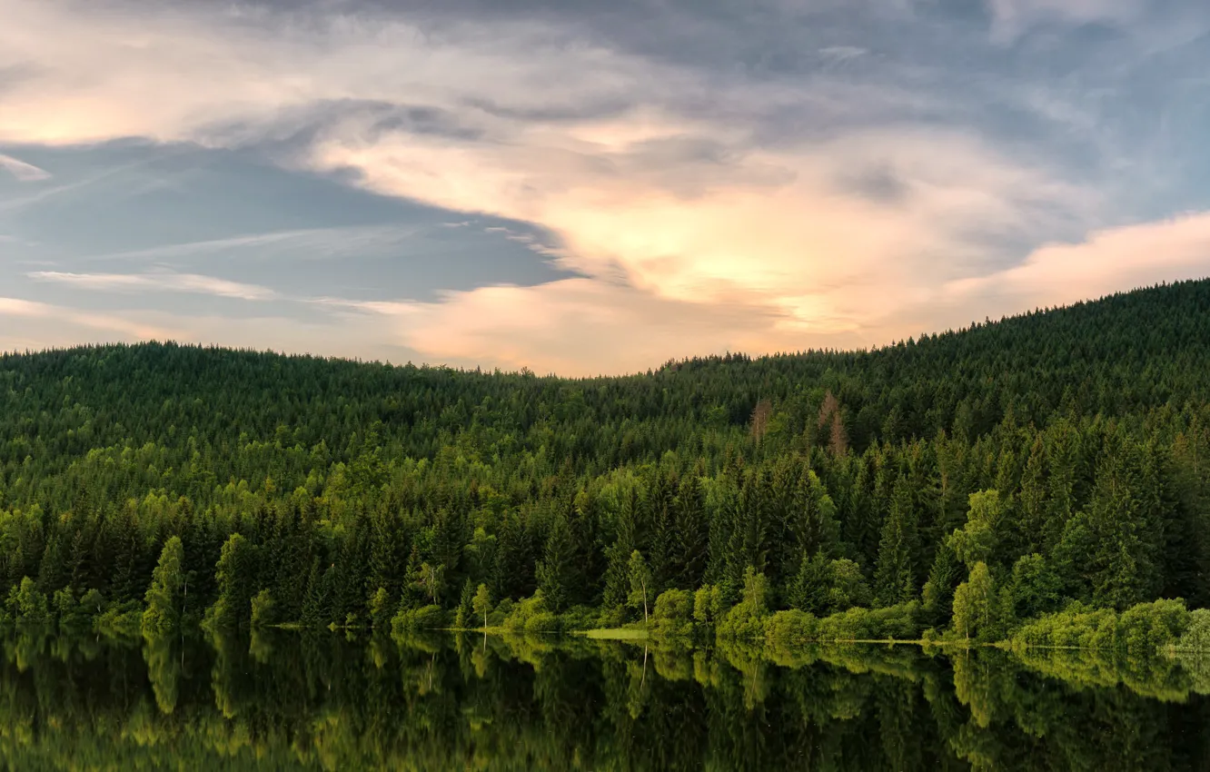 Photo wallpaper green, Czechia, Desna