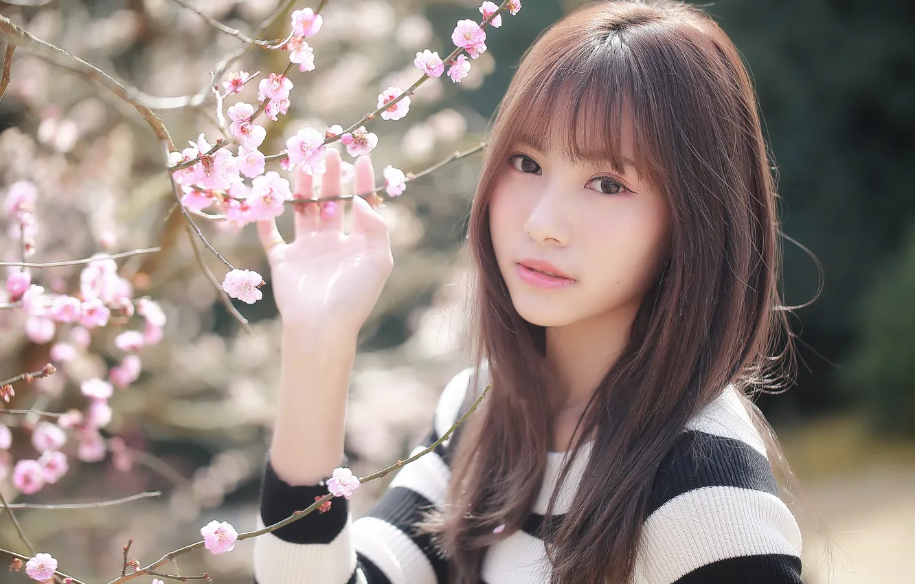 Photo wallpaper look, girl, Sakura