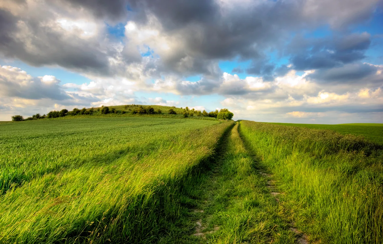Photo wallpaper road, greens, field, summer, the sky, grass, the sun, clouds