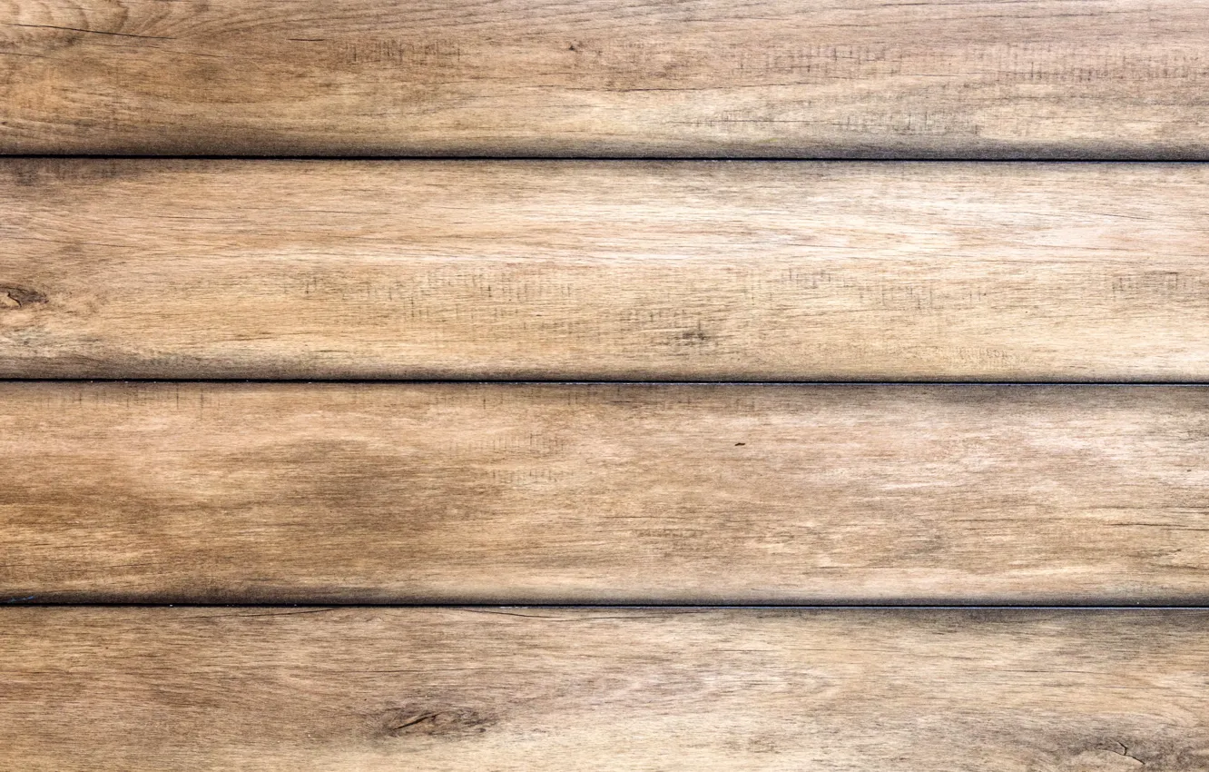Photo wallpaper wood, saver, texture