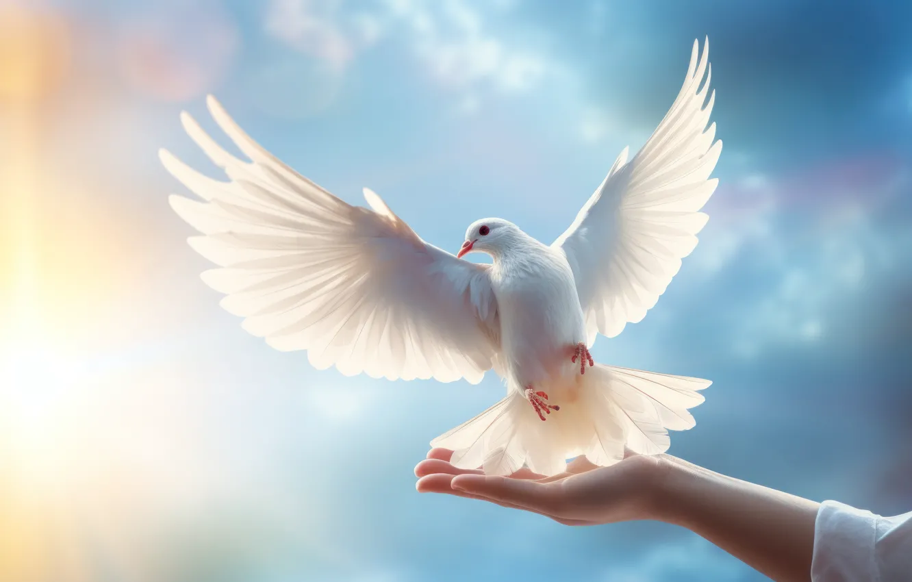 Photo wallpaper white, the sky, girl, the sun, light, bird, hands, pigeons