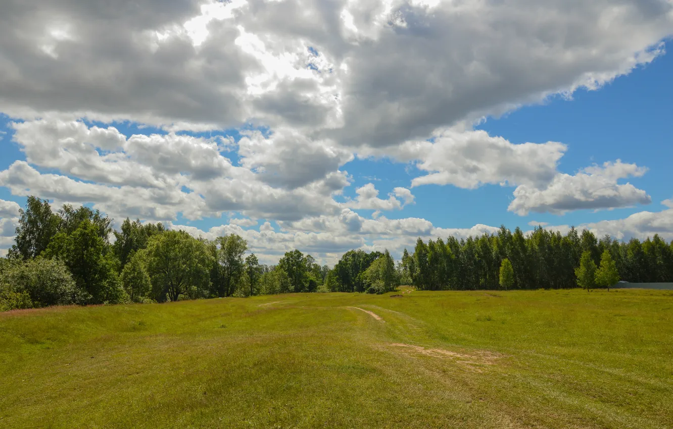 Photo wallpaper field, the sky, clouds, trees, nature, path, sky, trees