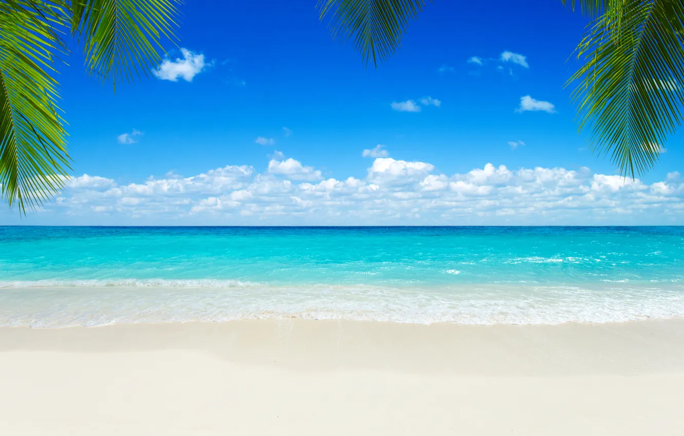 Photo wallpaper sand, sea, beach, summer, the sky, palm trees, summer, beach