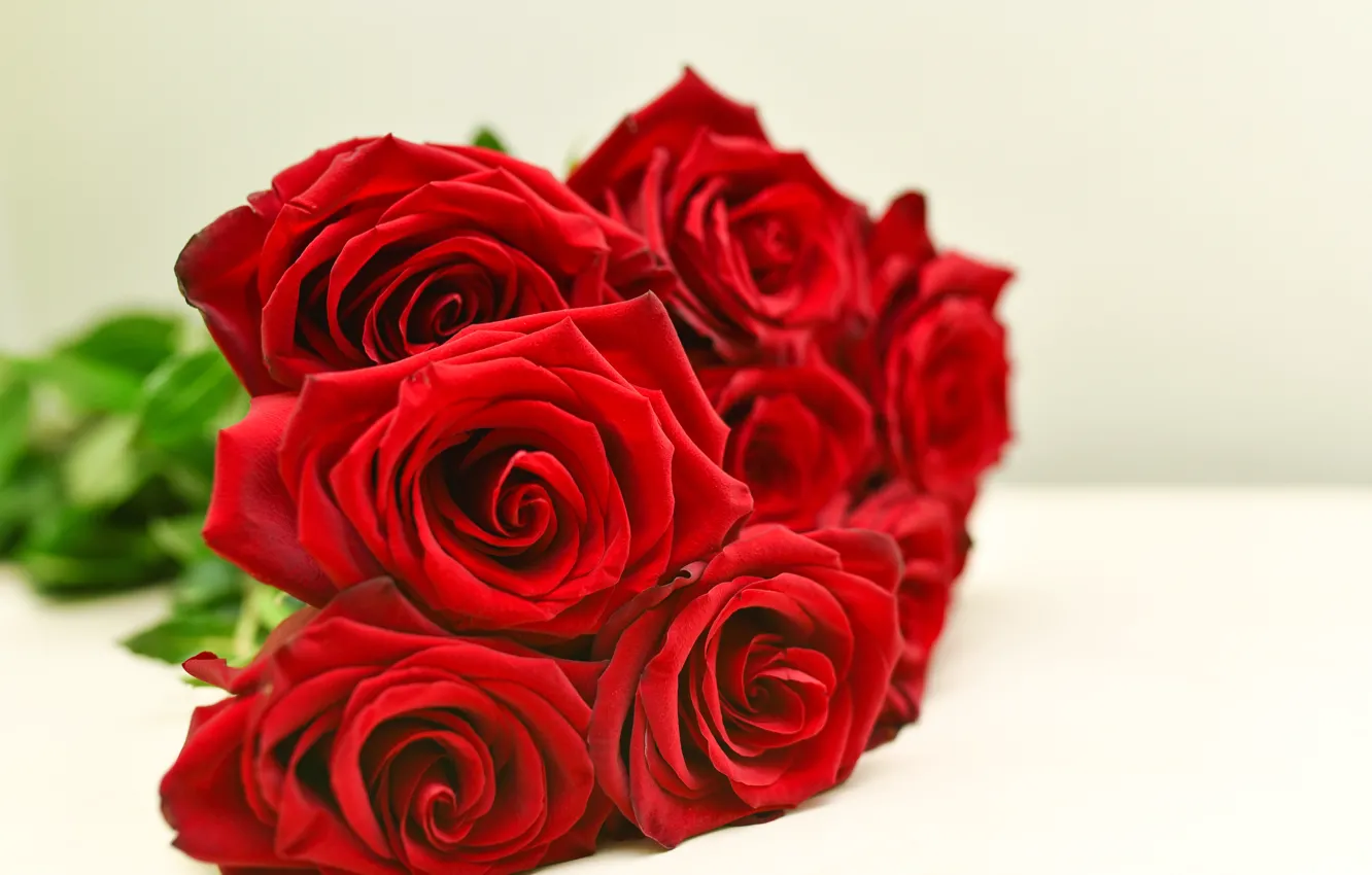 Photo wallpaper red, roses, red, rose, buds, bouguet