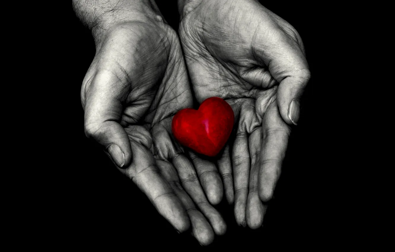 Photo wallpaper heart, hands, palm